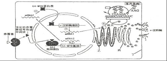 鸭脖官网登录