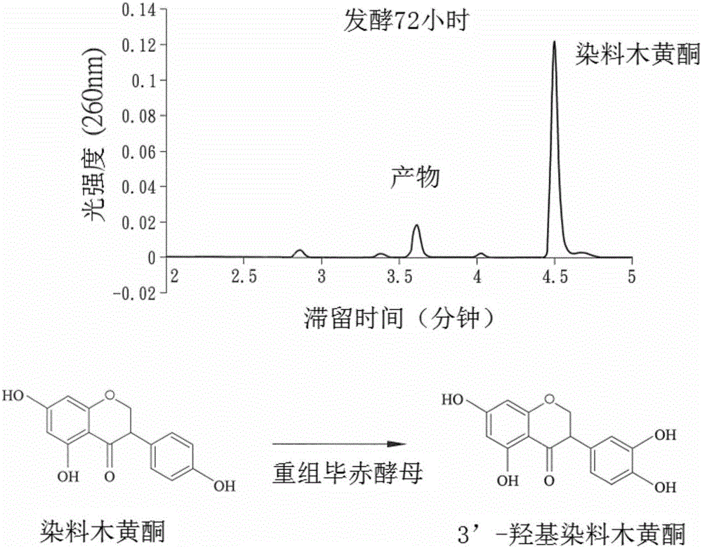 鸭脖官网登录