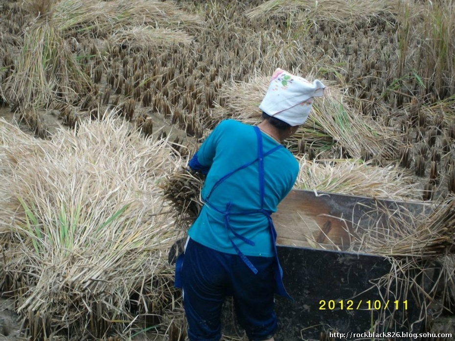 鸭脖官网|伦敦金融城2012年入口建筑选出5个候选方案