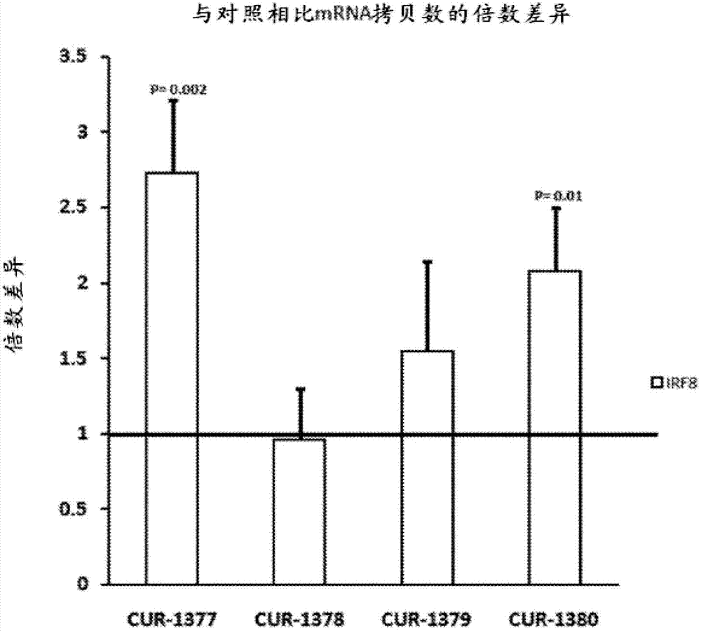 鸭脖官网